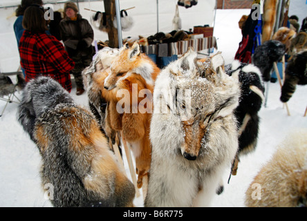 Fur hat for sale at a winter festival in Land O Lakes Wisconsin Stock Photo