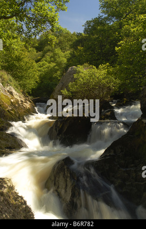 A waterfall on the river Marteg a short walk from the visitor centre at Gilfach Nature Reservs Radnorshire Stock Photo