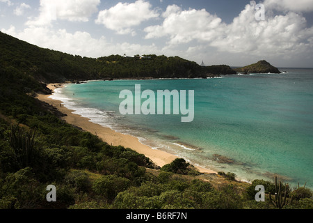View of the beach at Anse des Flamands St Barthelemy or St Barth or St Barts, West Indies, Caribbean. Stock Photo