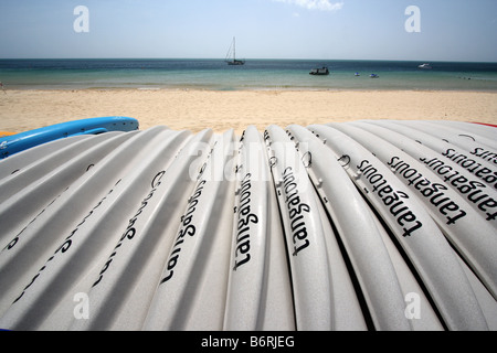 A ROW OF WHITE CANOES LINED UP ON A BEACH QUEENSLAND AUSTRALIA HORIZONTAL BDB11364 Stock Photo