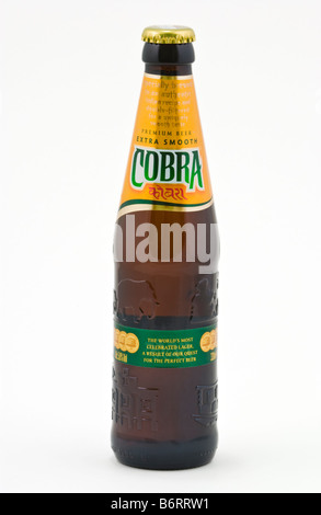 Bottle of Cobra Indian lager beer brewed and bottled in the European Union for Cobra Beer Ltd Stock Photo