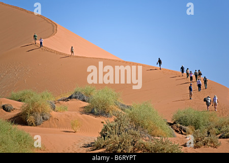 Walking on Sossusvlei sand dune in Namib Desert Namib Naukluft National Park Namibia Stock Photo