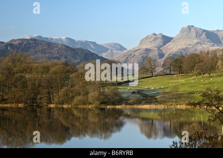 The Langdale Pikes reflected in Loughrigg Tarn on a bright and frosty winter day in the Lake District Stock Photo