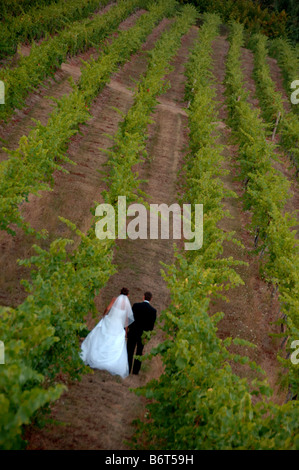 Bride and groom walking through a vineyard Stock Photo