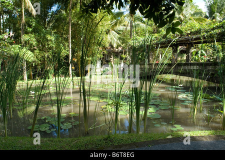 Gardens of the Agung Rai Museum of Art, at Ubud (Bali - Indonesia). Jardins du Musée d'Art Agung Rai, à Ubud (Bali - Indonésie). Stock Photo