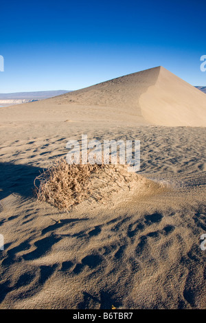 A sand dune above the White Bluffs of the Hanford Reach along the Columbia River Washington Stock Photo