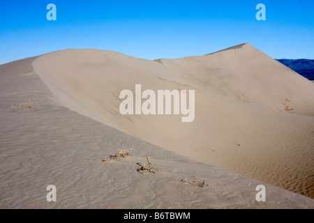 A sand dune above the White Bluffs of the Hanford Reach along the Columbia River Washington Stock Photo