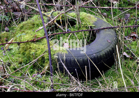 Moss growing on fly tipped old tyre UK Stock Photo