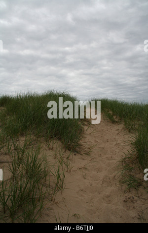 Sandy dune covered with tall grass with a trail leading to the summit against a gray cloudy sky Stock Photo