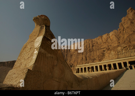 A statue of Horus at the entrance to the Mortuary temple of Queen Hatshepsut at Deir al-Bahari, Egypt. Stock Photo