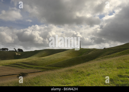 Lansdowne Monument at Cherhill near the Marlborough downs in Wiltshire on a cloudy bright day. Stock Photo