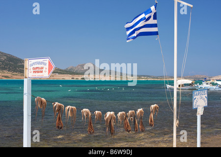 Octopuses drying at Agios Georgios, Island of Antiparos, The Cyclades, Greece Stock Photo