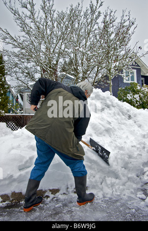 Man using proper bent knee stance for digging snow from parking space on side street after big snowstorm Stock Photo