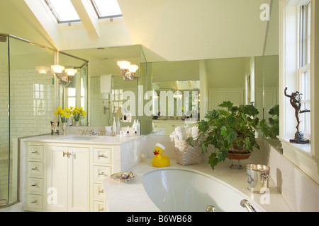 Traditional bathroom with pitched ceiling Stock Photo