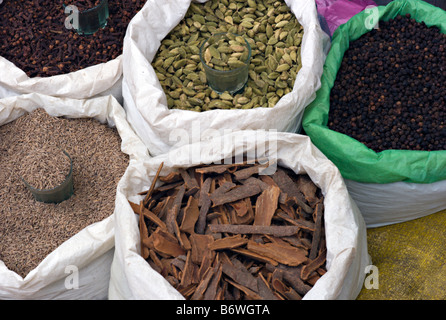 INDIA HARIDWAR Sacks of colorful spices for sale on the market street in old Haridwar Stock Photo