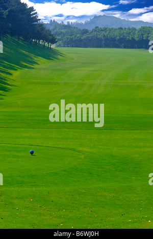 Golf ball on tee in green Stock Photo