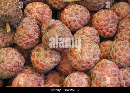 Custard Apples, Sitaphal, for sale. Scientifically known as Annona Squamosa. Stock Photo