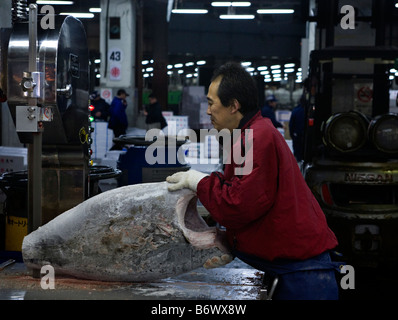 Cutting frozen tuna with a bandsaw at Tokyo Tsukiji Fish Market Tokyo Metropolitan Central Wholesale Market Stock Photo