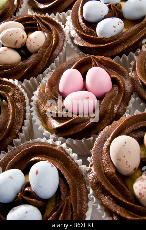 Decorated chocolate chip cakes with chilli chocolate topping nest and decorative chocolate eggs for Easter. Stock Photo