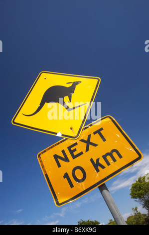 Kangaroo Warning Sign Broadwater National Park New South Wales Australia Stock Photo