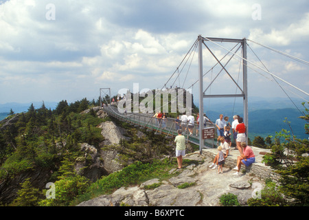 The Rope Bridge on the Top of Mountain of Rosa Khutor, Russia, Nature Stock  Footage ft. abyss & altitude - Envato Elements