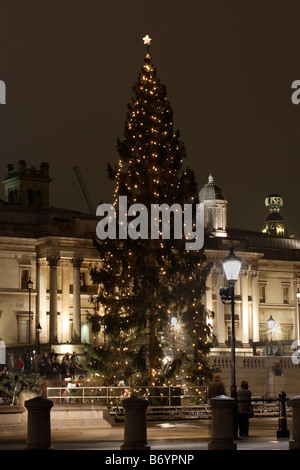 Norwegian Christmas Tree 2008 Trafalgar Square London UK Stock Photo