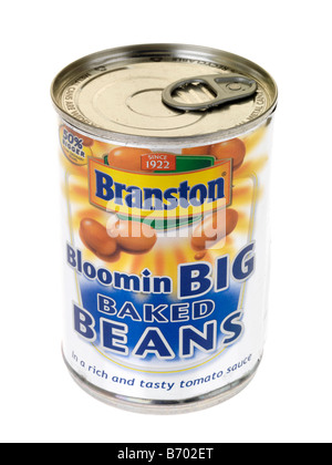 Can Of Branston Bloomin Big Baked Beans In Tomato Sauce Stock Photo - Alamy