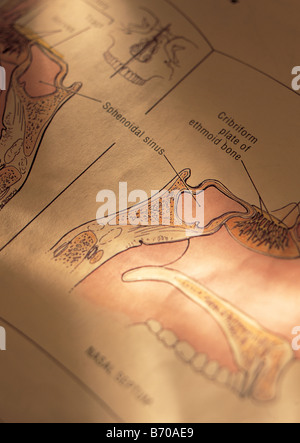 illustration within textbook Stock Photo - Alamy