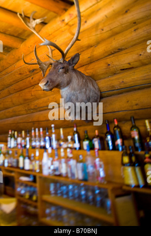 An elk head over the bar of a ski lodge in Banff Canada Stock Photo