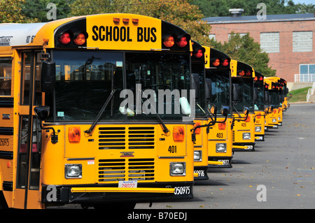 Yellow school buses, Cape Cod, USA Stock Photo