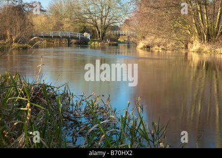 Looking upstream on the River Kennet and Kennet and Avon Canal towards Southcote Mill and Southcote Lock Reading Berkshire Uk Stock Photo