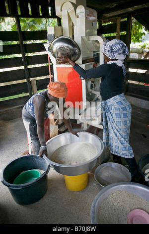 Suriname, Laduani, at the bank of the Boven Suriname river. Women from Saramaccaner tribe. Grinding rice. Stock Photo