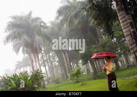 Suriname, Paramaribo, Restored plantation called Frederiksdorp at the Commewijne river. Now hotel. Woman in rain. Stock Photo