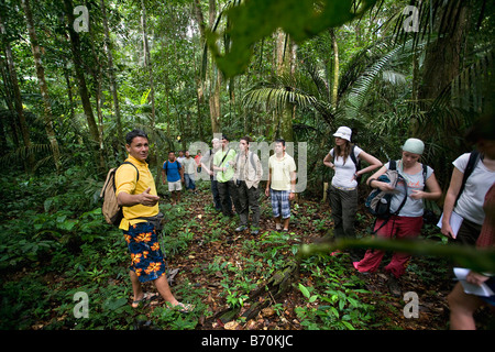 Suriname, Kwamalasamutu, Tourists and local Trio Indian guide making walking tour in forest. Stock Photo