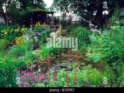 Water garden pond with colourful mixed planting Stock Photo