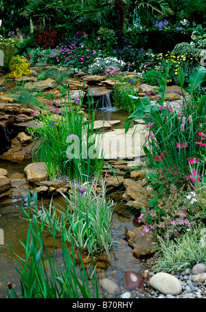 Attractive streamside planting with small waterfalls into a garden pond Stock Photo