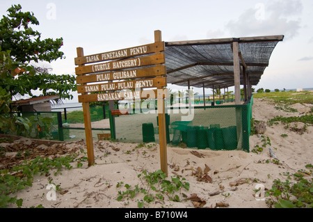 Turtle hatchery in the Turtle Island National Park, sabah, Malaysia. Stock Photo