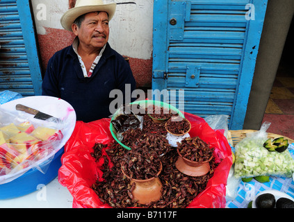 Man selling fried grasshoppers in Oaxaca, Mexico Stock Photo