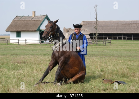 Horse and horseman in Hortobagy, Hungary Stock Photo