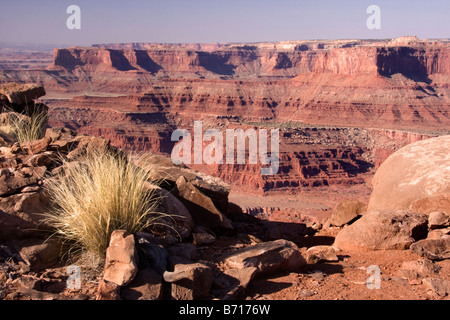 The Meander Canyon Dead Horse Point State Park Utah Stock Photo