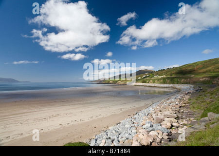 Wide open Beach Exploration. Three people explore an almost deserted sandy beach at low tide with puffy clouds and a blue sky Stock Photo
