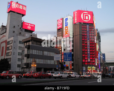 Japanese neon on the Laox electronics store in Akihabara (Electric City) in Tokyo, Japan. Stock Photo