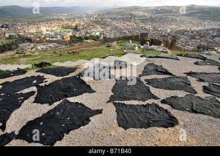 Black dyed animal skins drying in Fes, Morocco Stock Photo