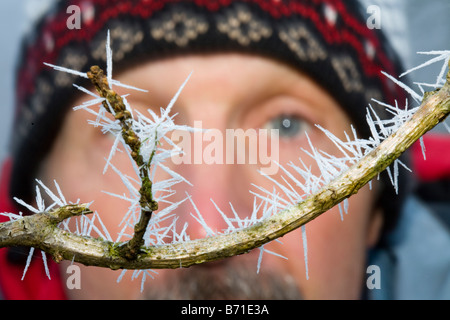 A man looks at Needle ice on a branch in a woodland in Ambleside Cumbria UK Stock Photo
