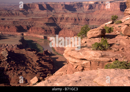 The Colorado River approaches The Gooseneck in early morning viewed from the Rim Overlook Dead Horse Point State Park Utah Stock Photo