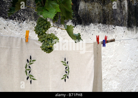 White tablecloth on a clothesline Stock Photo