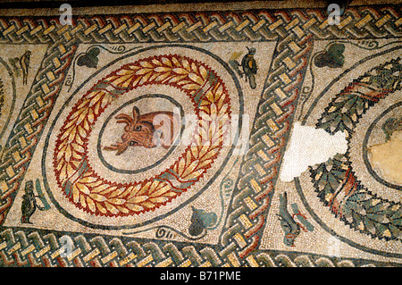 2000 year old Roman mosaics at Romana del Casale, Piazza Armerina, Sicily, Italy Stock Photo