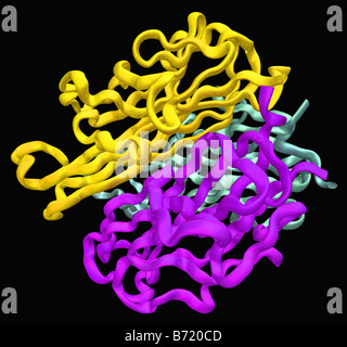 Ribbon molecular model of RANKL molecule Stock Photo - Alamy