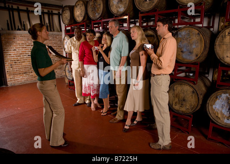Side view of people standing by wine barrels in winery Stock Photo