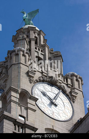 The clock tower on the top of the Royal Liver Building Stock Photo